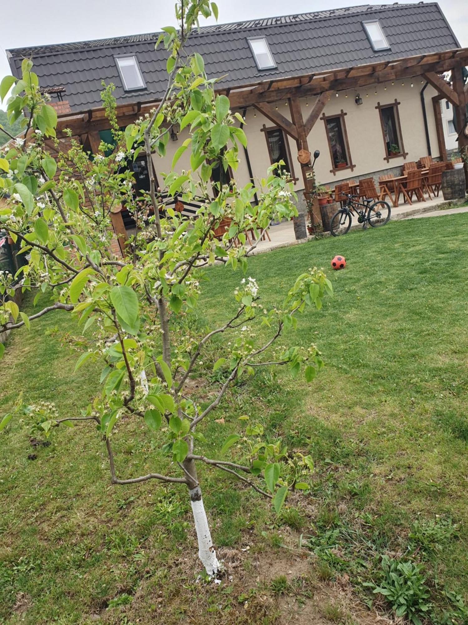 Magic Rooms Gura Teghii Zewnętrze zdjęcie